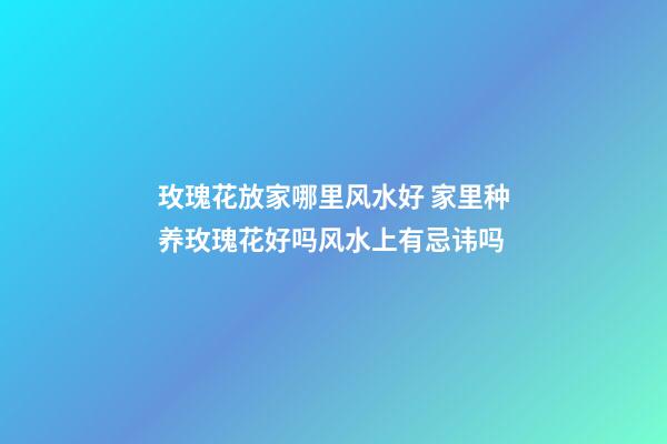 玫瑰花放家哪里风水好 家里种养玫瑰花好吗风水上有忌讳吗